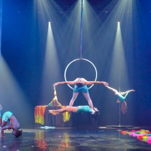 Spectacle Tissu Aérien & Danse : Retour vers un monde meilleur !