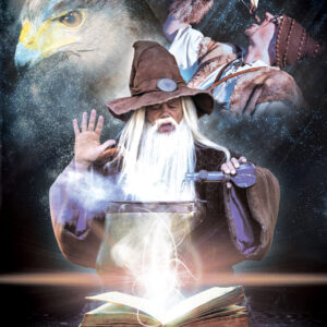 Les spectacles de Merlin