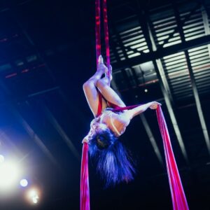 Spectacle Tissu Aérien avec  Concert en Live