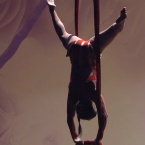 Spectacle Tissu Aérien: « RENAISSANCE »
